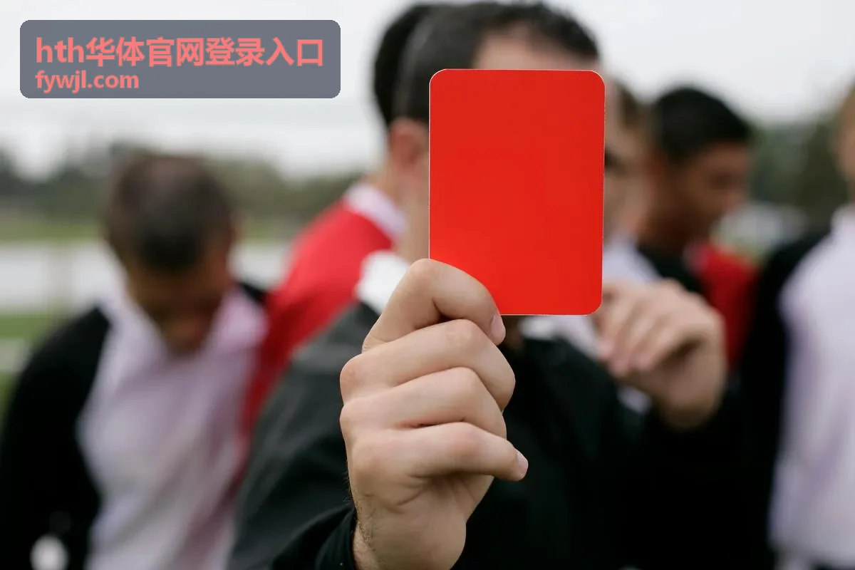 hth华体官网登录入口在电脑与手机上的页面展示效果